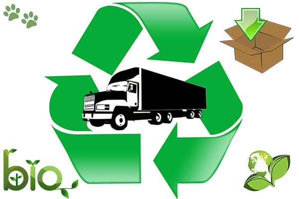 Green moving tips for a low-impact relocations.