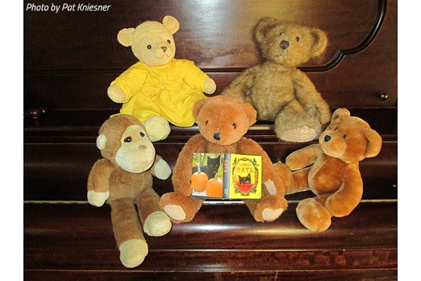 How to pack stuffed animals for moving
